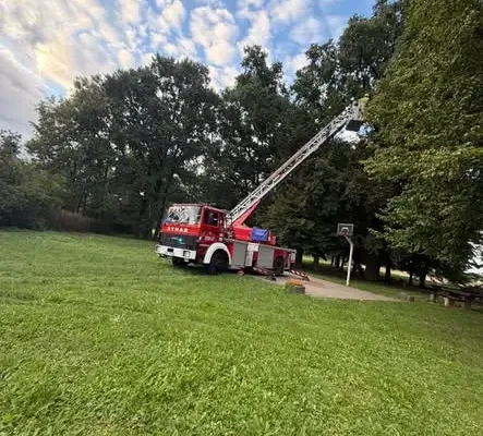 Interwencje strażaków: zwisający konar w Górach i powalone drzewo w Dziadkowie