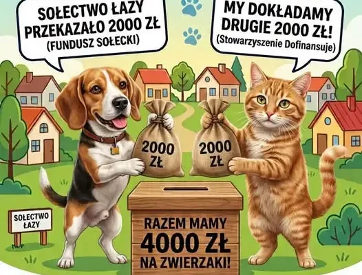 Gmina Krośnice podwaja środki na sterylizację i kastrację zwierząt