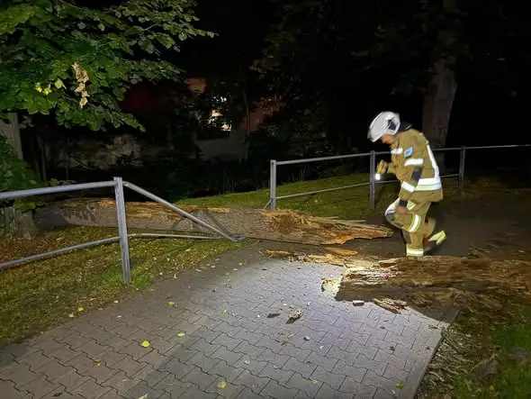 Powalone drzewo na chodniku w Miliczu — interwencja strażaków OSP