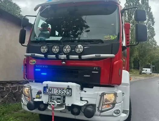 Trzebicko: strażacy z OSP Cieszków usunęli gniazdo owadów błonkoskrzydłych