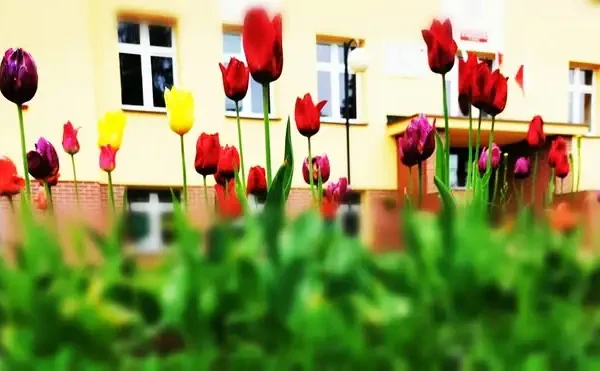 Uczniowie „Jedyneczki” spotkali się z redaktorem Radia Wrocław