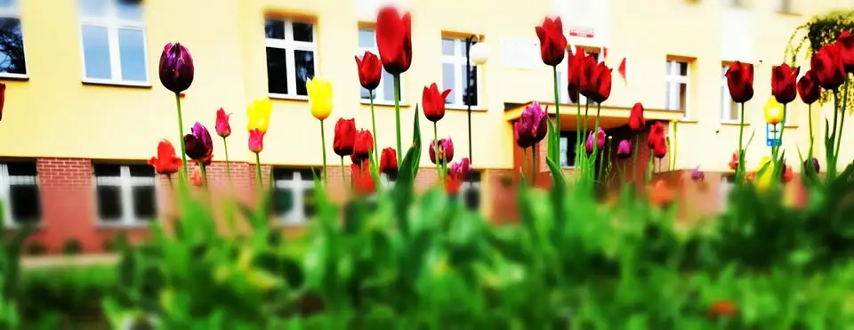 Uczniowie „Jedyneczki” spotkali się z redaktorem Radia Wrocław