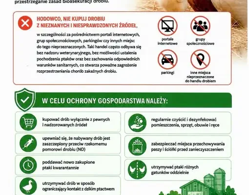 Powiatowy Lekarz Weterynarii w Miliczu ostrzega przed grypą ptaków – obowiązki hodowców