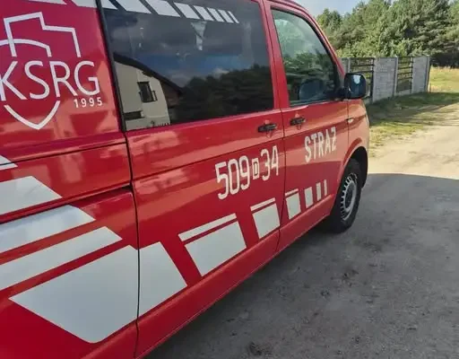 Gogołowice: strażacy usuwali gniazdo owadów błonkoskrzydłych