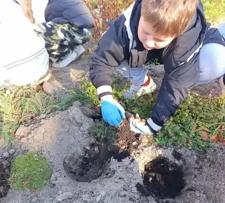 Uczniowie klasy 3c posadzili cebulki wiosennych kwiatów w szkolnym ogródku