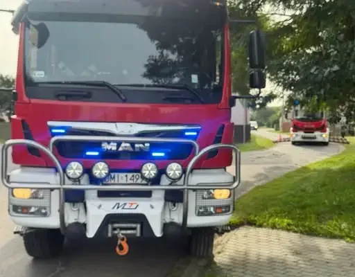 Pożar drzewa w Dunkowej — akcja strażaków z OSP Milicz i OSP Piotrkosice
